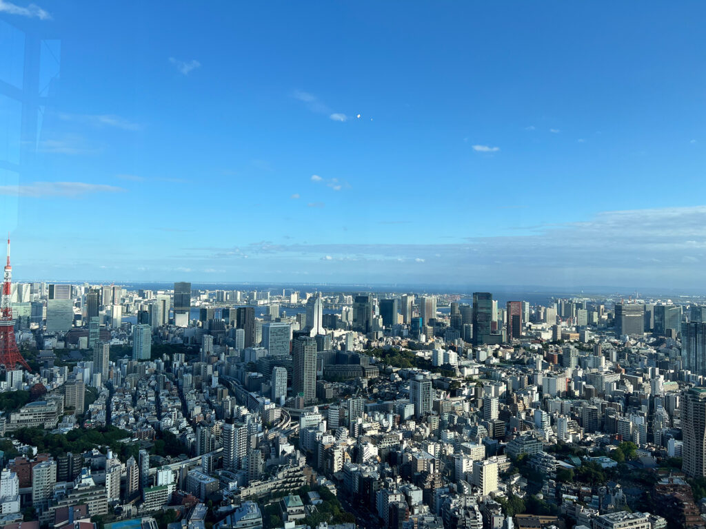 Tokyo Skyline View