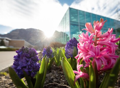 Brigham Young University Student Scholarship image